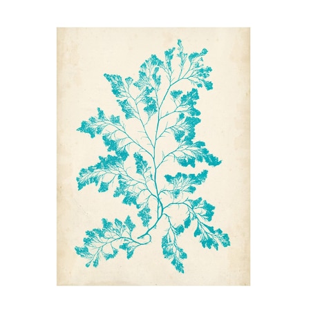 Vision Studio 'Aquamarine Seaweed I' Canvas Art, 14x19